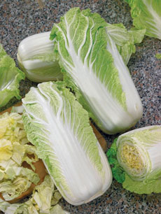 Капуста пекинская Микихили 6 г. Проф