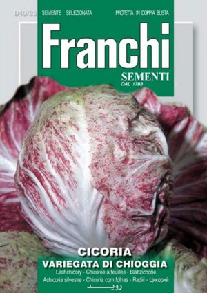 Цикорий разноцветный из Киоджи 10 г. Проф