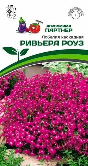 ЛОБЕЛИЯ РИВЬЕРА РОУЗ 10 шт. Партнер