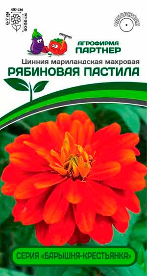 Цинния F1 РЯБИНОВАЯ ПАСТИЛА 5 шт. Партнер