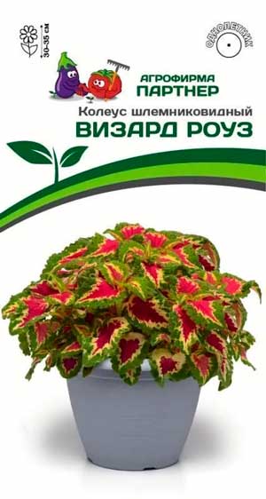 КОЛЕУС ВИЗАРД РОУЗ 10 шт. Партнер