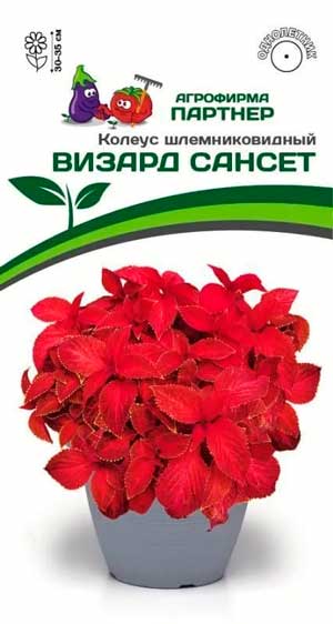 КОЛЕУС ВИЗАРД САНСЕТ 10 шт. Партнер