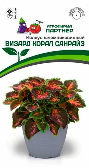 КОЛЕУС ВИЗАРД КОРАЛ САНРАЙЗ 10 шт. Партнер