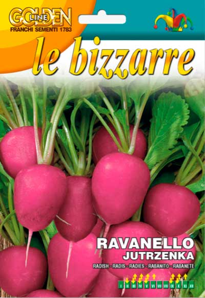 Редис Gutrzenka 6 г. Проф