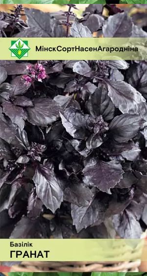 Базилик Гранат фиолетовый 0.2г