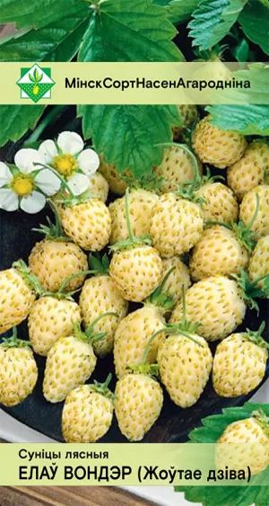Земляника Еллоу вондер лесная 100шт