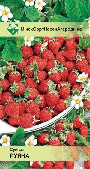 Земляника Руяна 100шт