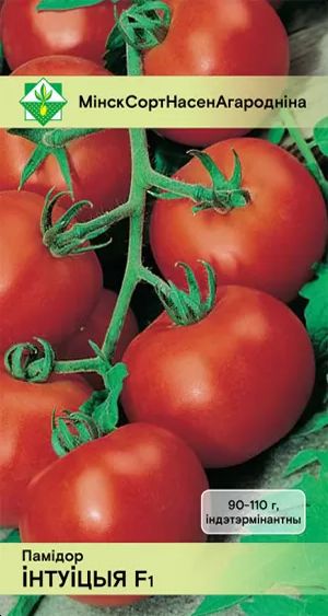 Томат Интуиция F1 7шт