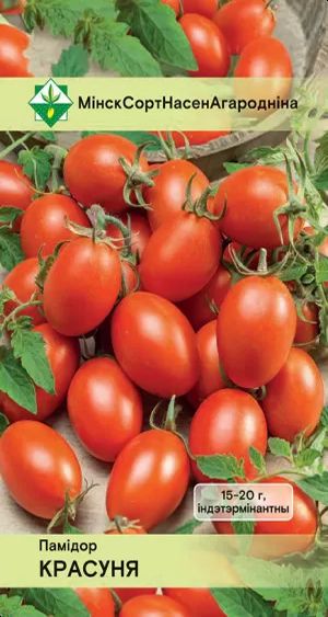Томат Красуня (тип 