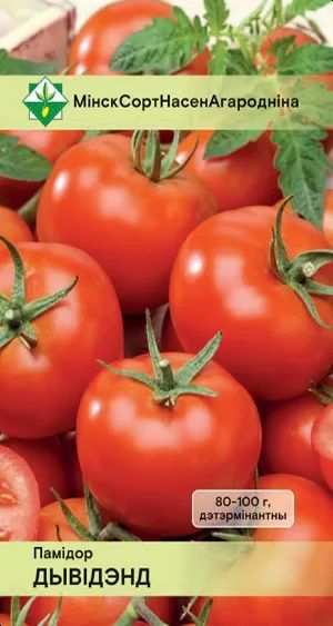 Томат Дивиденд 15шт
