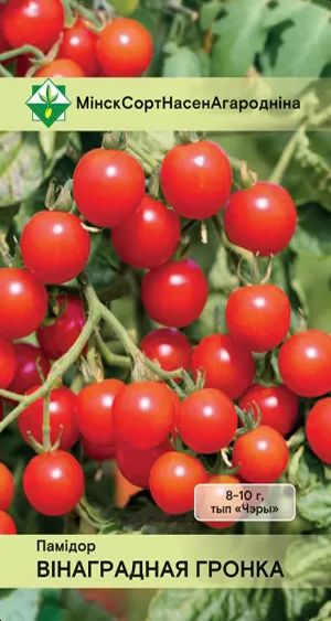 Томат Виноградная гроздь (тип 