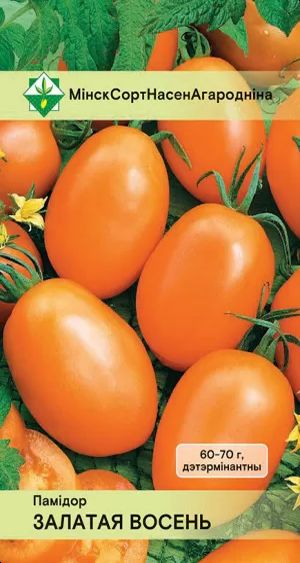 Томат Золотая осень
