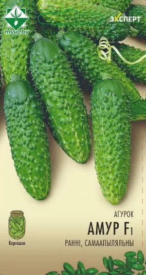 Огурец Амур F1 10шт (Эксперт)
