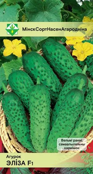 Огурец Элиза F1 10шт