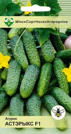Огурец Астерикс F1 10шт
