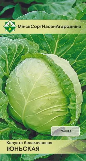 Капуста б/к Июньская 0.5г