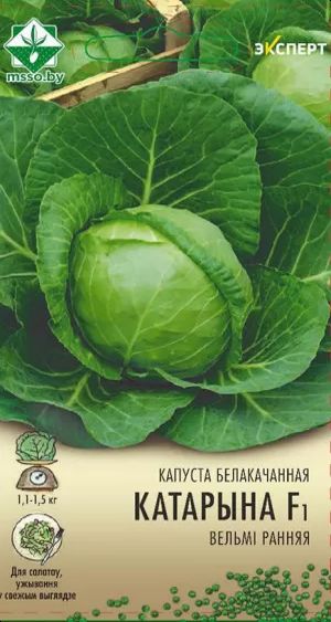 Капуста б/к Катарина F1 12шт (Эксперт)