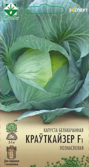 Капуста б/к Крауткайзер F1 12шт (Эксперт)