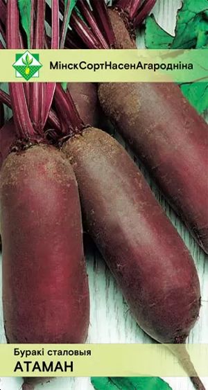 Свекла Атаман столовая 2г
