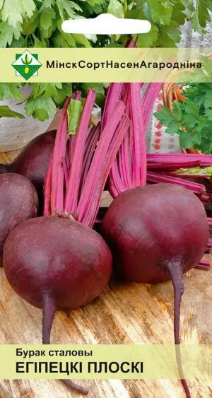Свекла Египетская плоская столовая 3г