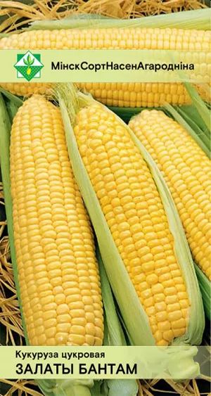 Кукуруза Золотой бантам сахарная 4г
