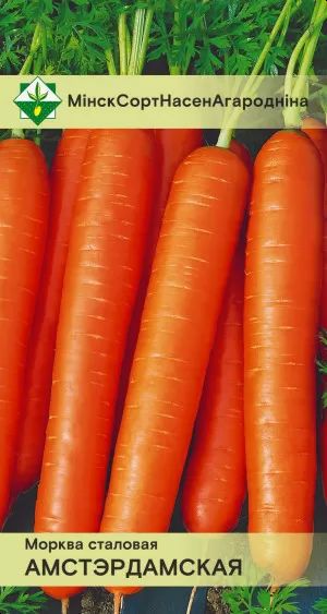 Морковь Амстердамская столовая 1.5г