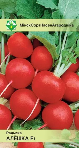 Редис Алешка F1 2г
