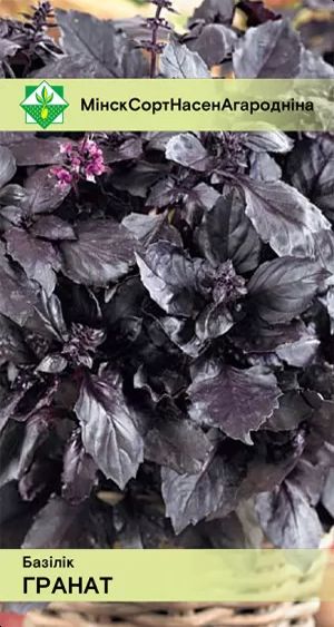 Базилик Гранат фиолетовый 0.2 г.