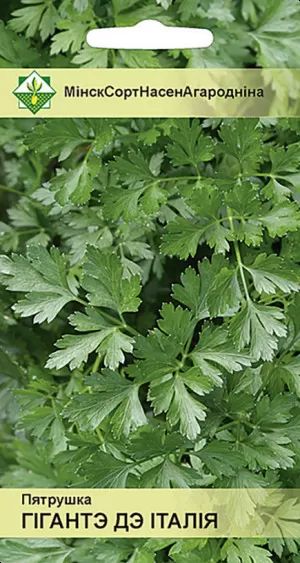 Петрушка Гиганте де Италия 2г