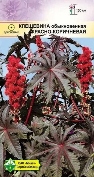 Клещевина обыкновенная Красно-коричневая 4шт