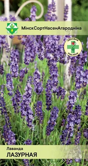 Лаванда Лазурная 0.1г