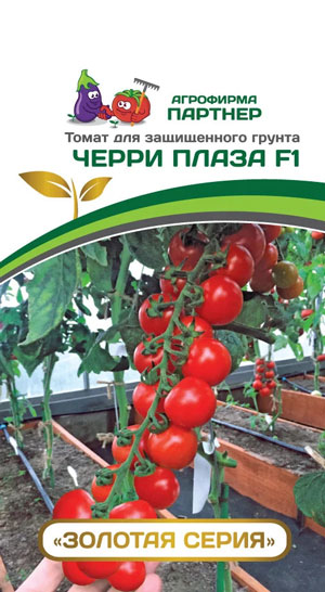 ТОМАТ ЧЕРРИ ПЛАЗА F1 5 шт. (Партнер)