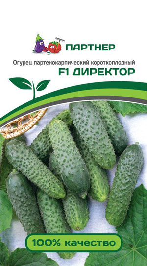 ОГУРЕЦ ДИРЕКТОР F1 5 шт. (Партнер)