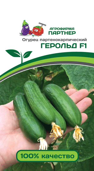 ОГУРЕЦ ГЕРОЛЬД F1 5 шт. (Партнер)