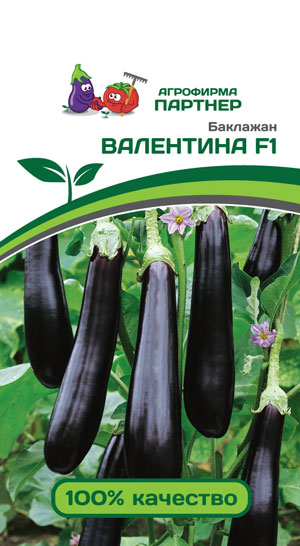 БАКЛАЖАН ВАЛЕНТИНА  F1 10 шт. (Партнер)