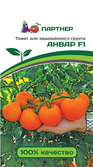 ТОМАТ АНВАР F1 5 шт. (Партнер)