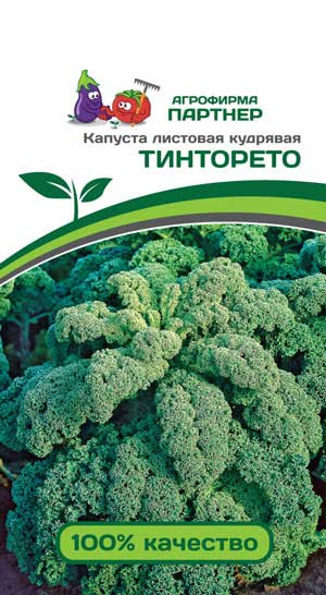 КАПУСТА ЛИСТОВАЯ КУДРЯВАЯ ТИНТОРЕТО 0,3 г. (Партнер)