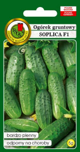 Огурец Соплица F1 5 г. (Польша)