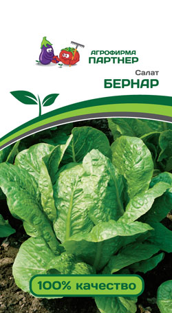 САЛАТ КОЧАННЫЙ БЕРНАР 0,5 г. (Партнер)