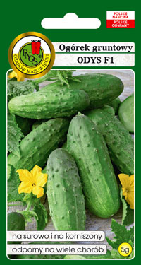Огурец Odys F1 5 г. Польша