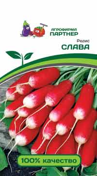 РЕДИС СЛАВА 2 г. (Партнер)