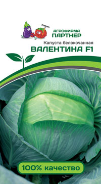 КАПУСТА Б/К ВАЛЕНТИНА F1 0,2 г. (Партнер)