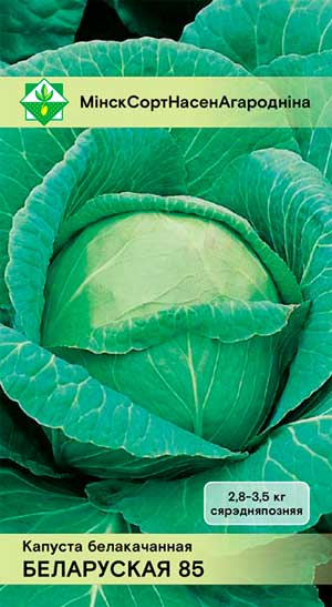 Капуста б/к Белорусская 85 0,5 г. БС