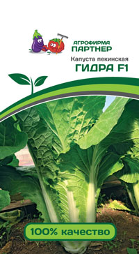 КАПУСТА ПЕКИНСКАЯ ГИДРА F1 0,5 г. (Партнер)