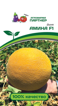 ДЫНЯ АМИНА F1 5 шт. (Партнер)