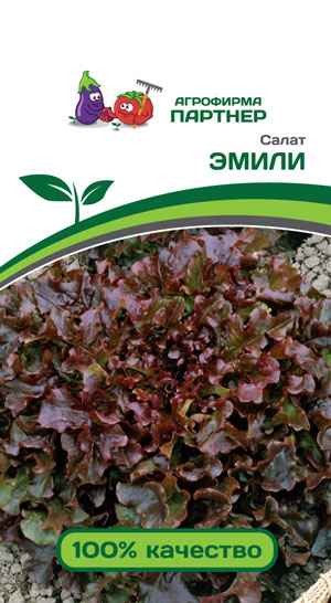 САЛАТ ЛИСТОВОЙ ЭМИЛИ 1 г. (Партнер)