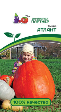 ТЫКВА АТЛАНТ 10 шт. (Партнер)