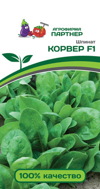ШПИНАТ КОРВЕР F1 1 г. (Партнер)