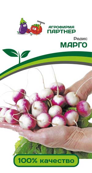 РЕДИС МАРГО 3 г. (Партнер)