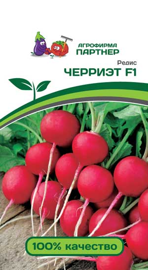 РЕДИС ЧЕРРИЭТ F1 1 г. (Партнер)